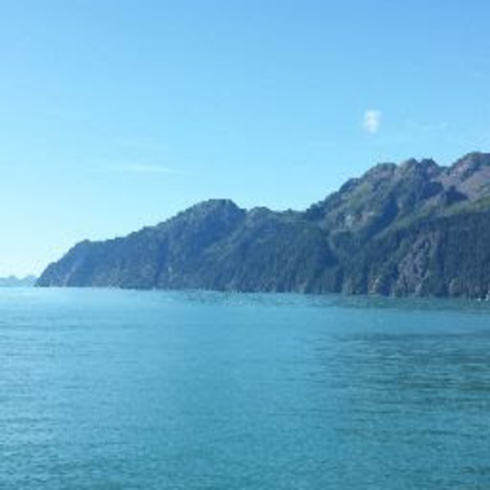 Meet your Posher, Paytland